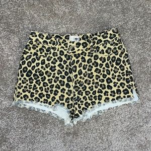 Amuse Society high waisted cheetah shorts